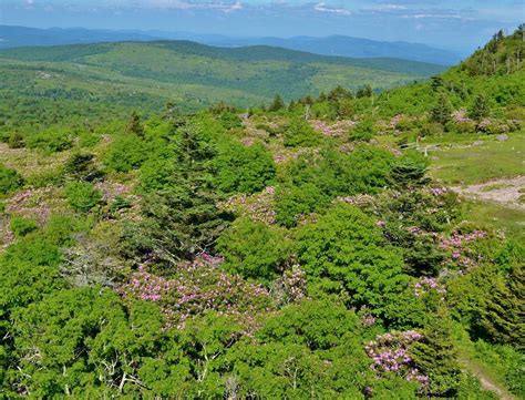 cheap hotels in mount rogers national recreation area